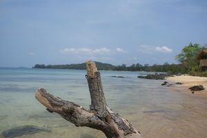 Sihanoukville - Strand met boomstronk - Cambodja